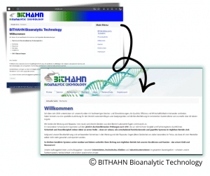 Projekt: BITHAHN – Website